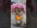 Why the road is talking with you!😱 #shorts #viral #viralvideo