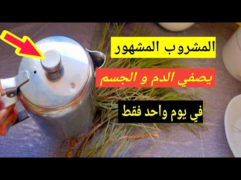 الطريقة الصحيحة لتحضير مشروب الصنوبر الذي أثار ضجة ل إزالة السموم من الجسم في يوم واحد فوائد الصنوبر