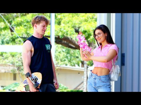 "Wanna Get Lei'd?"