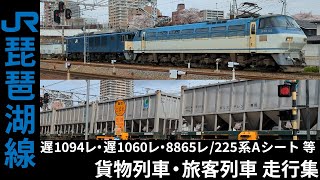 琵琶湖線(東海道本線) 遅1094レ/遅1060レ等 EF66/EF210 貨物列車・223系/225系700番台Aシート等 旅客列車 走行集