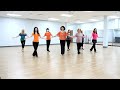 Rum In My Coke Line Dance Dance Teach In English 中文 