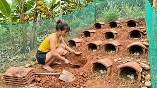TIMELAPSE: Building a 1000+ Duck Farm on the Mountain , Harvesting Eggs Duck