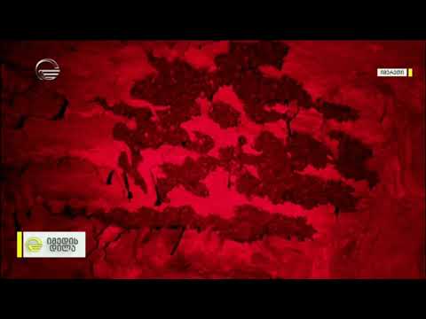 ძუძუმწოვარი, რომელიც დაფრინავს - მითები და რეალობა ღამურების შესახებ