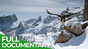 Wildlife At The Limits - Hot And Cold | Free Documentary Nature