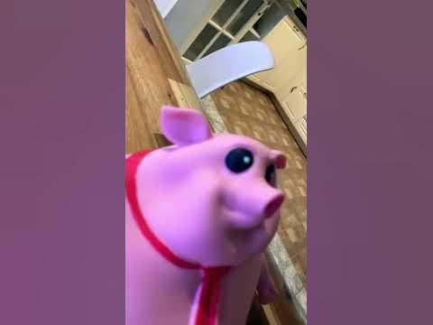 Самый крутой свин😎😎 - YouTube