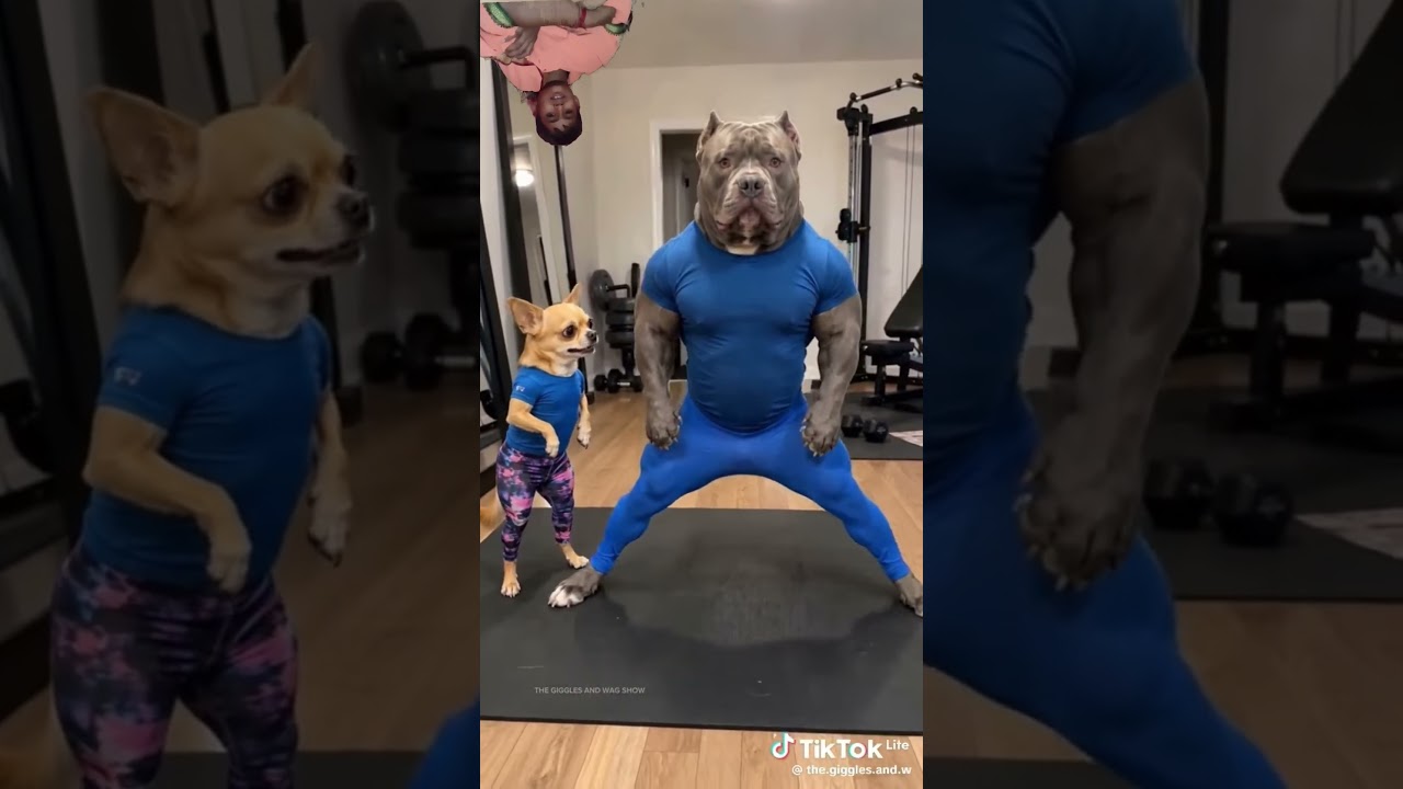 #funny #animal # Janwar ki gajab ka Naam Hai#ytshorts