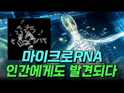 [핫클립] 마이크로RNA, 인간에게도 발견되다 / YTN 사이언스