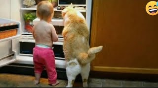 New Funny Animals Funny Videos of Cats and Dogs Things(3)