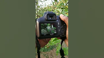Canon 3000D Photography Test Canon DSLR Camera Review 2023 