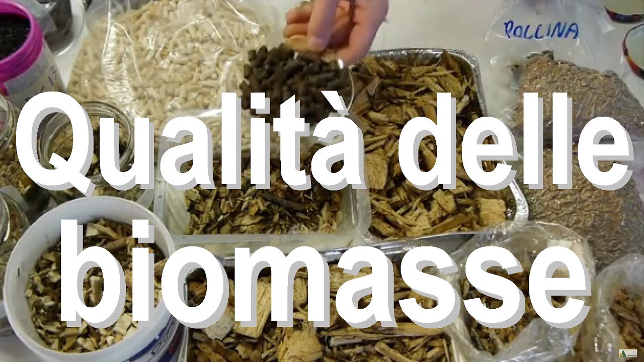 Caratterizzazione delle biomasse in laboratorio - CNR IVALSA San Michele all'Adige (TN)