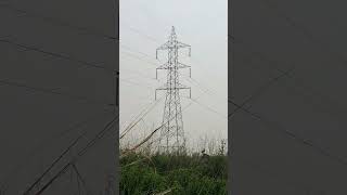 Day 12 (100 Day chalange ) Daily vlog #video #farming #vlog #videos