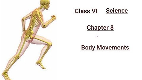Class VI Science 15 12 2020 by Ms Mridulata Upadhyay Chapter 8 Body movements