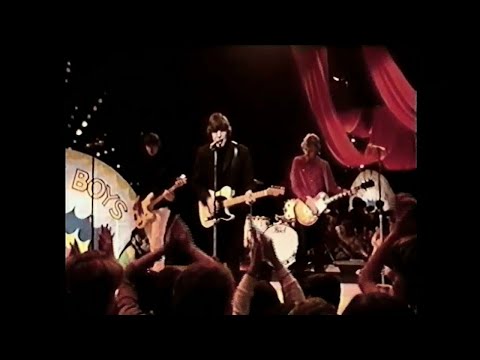 Sunnyboys - No Love Around