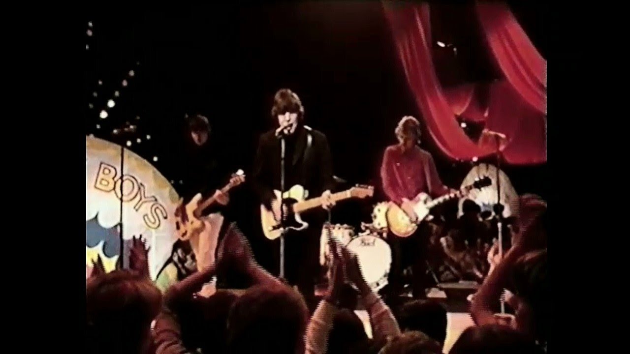 Sunnyboys - No Love Around