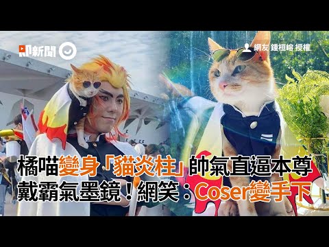 橘喵變身「貓炎柱」戴墨鏡帥氣直逼本尊 網：Coser變手下｜寵物｜鬼滅之刃｜變裝｜看新聞