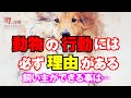 それは本当に問題行動や無駄吠え？本質に触れるために飼い主ができる事