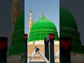 Dar e Nabi par#ghulammustafaqadri#foryou#love#trending#fyp#viral#hearttouching#ytshorts#shortvideo##