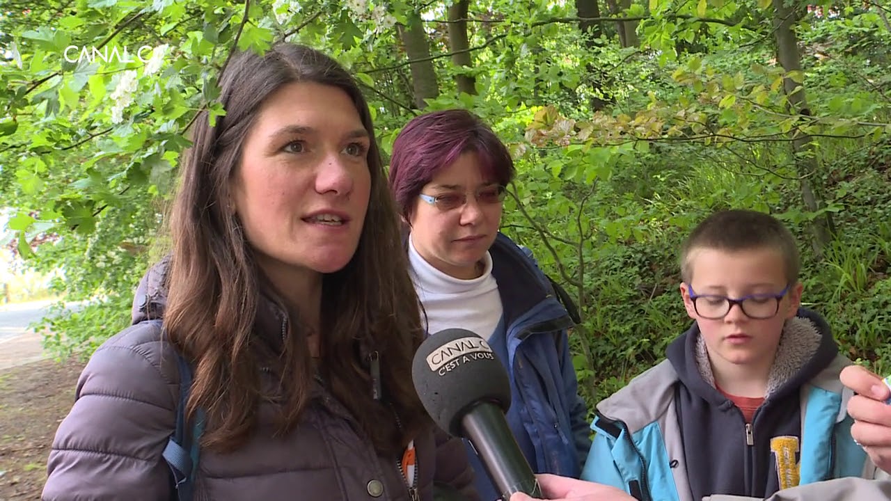Chasse aux trésors - Géocaching « L'église du Temple » à Carentoir