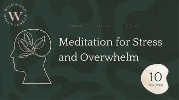 10 Minute Meditation for Stress and Overwhelm |Soothing and Grounding|