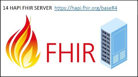 14 HAPI FHIR SERVER  https://hapi.fhir.org/baseR4 | GET , POST, PUT, DELETE, INSOMNIA