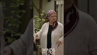 Zeynep, Leyla'ya Nispet Yapıyor | #Windsoflove #Shorts #Ruzgarlitepe