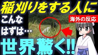 【ありえない】日本で稲刈りをする姿に世界が衝撃!!【Bluenote】