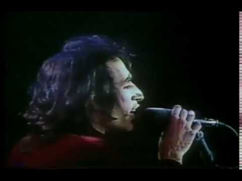 Steely Dan - Reelin' in the Years (live) - YouTube