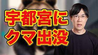 大都会宇都宮の市街地に熊出没…これはちょっと洒落にならない