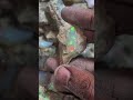 #gemstone #opal