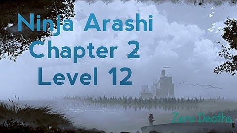 Ninja Arashi (Gameplay) | Chapter 2 | Level 12 | Without Dying
