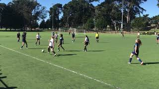 AZUL VERSUS SF PUMAS