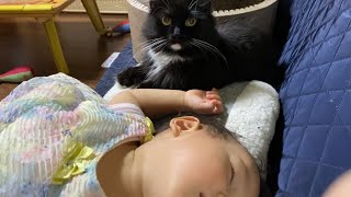 眠る娘の隣りで甘え続ける猫　ラガマフィン　A cat that keeps spoiling next to my sleeping daughter