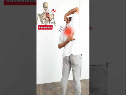 خف ف آلام الم عين بحركة فاشيائية ذكية دعم استقرار لوحي الكتف وتقليل الألم