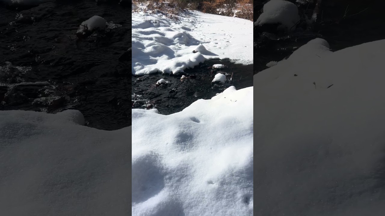 Relaxing Creek Sounds 