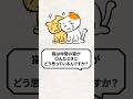 Q:猫は仲間の猫が○んだ時にどう思ってるの? #猫 #猫好きさんと繋がりたい #ねこ