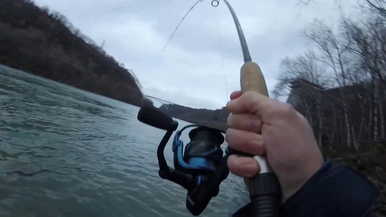 Big Lake Trout Tears Line Off My Reel!