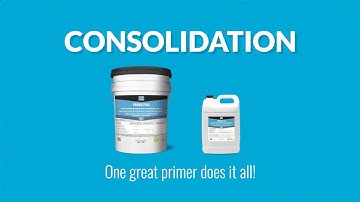 Primer Plus: A Multipurpose Primer For All Your Needs