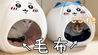 ちいかわペットハウスに毛布を入れたら猫に大人気です