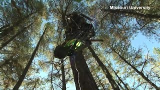 Safety reminders for hunters using tree stands