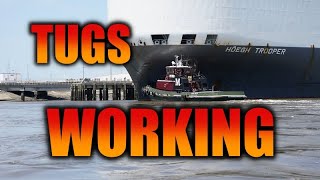 Tugboats working the Port of Brunswick