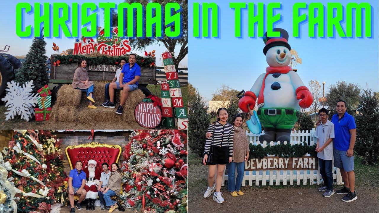 Рождественская поездка на ферму Дьюберри в 2025 году.