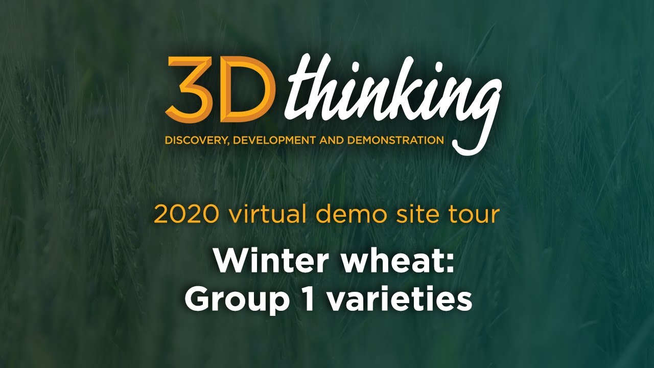 3D Thinking - Virtual plot tour 2020: Winter wheat Group 1 variety overview