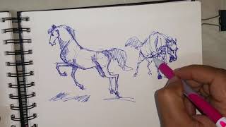 Rapid Drawing Horse in different angles