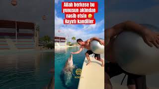 Galatasaraylı Olunmaz Doğulur.