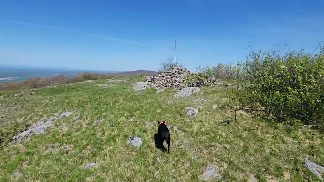 Look how amazing this view is!! @ Brace Mountain