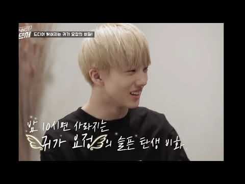 [NCT 지성] 10시 요정이였던 우리 지성이가 이제 성인이 된다니 말도 안돼