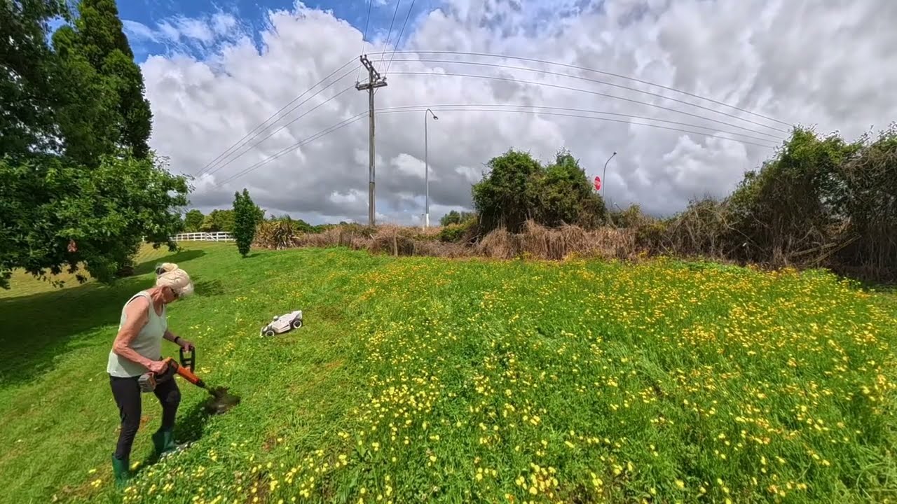 Garden reset after the holidays. Luba's 2 AWD mower needed help as the weeds were knee-high.