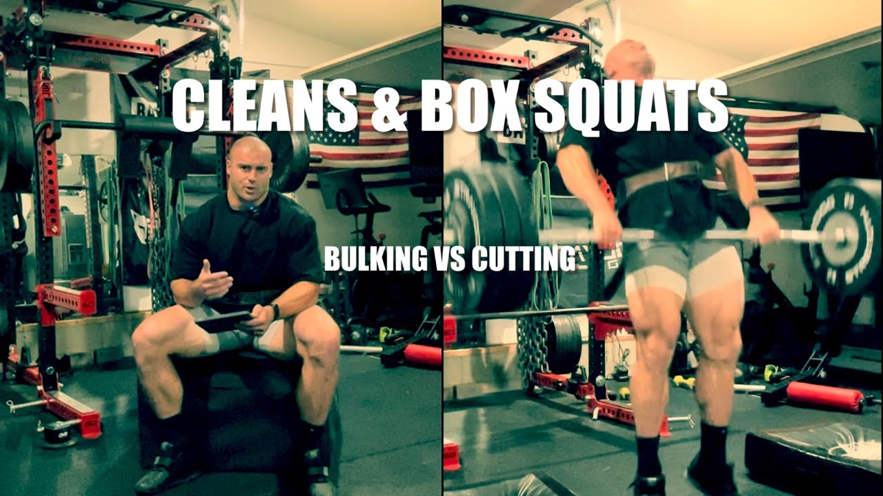 Power Cleans. Box Squats. Why Upper/Lower Split Now. Bulking/Cutting ...