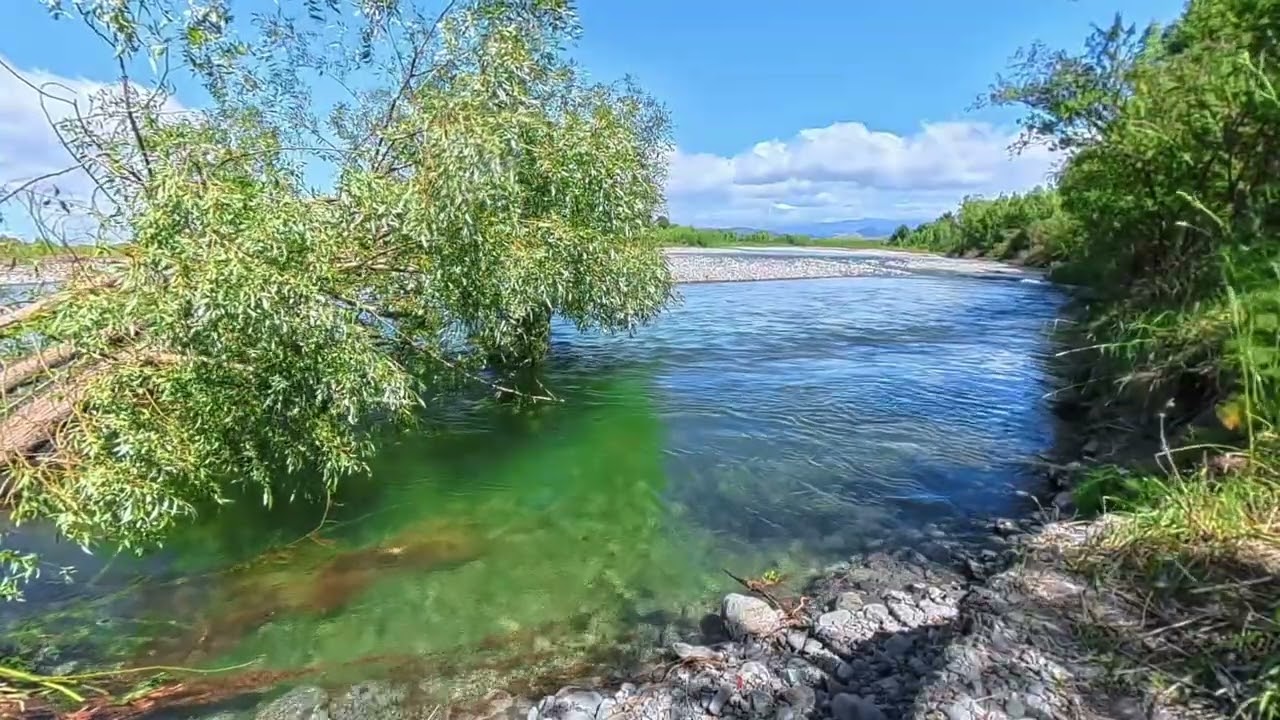 Relaxing river sounds for stress relief. Calming nature ambience & gentle forest breeze & river flow
