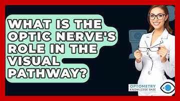 What Is The Optic Nerve